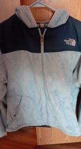 The north face sweatshirt